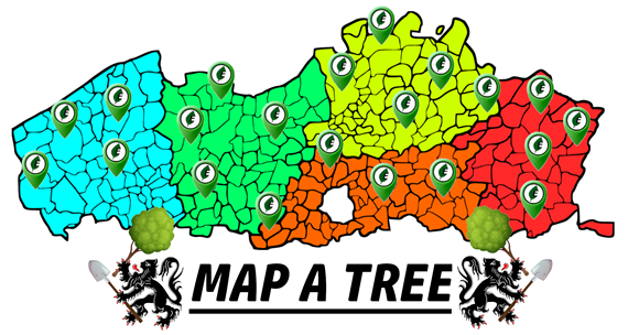 Map A Tree Liedekerke Platform Vlaanderen